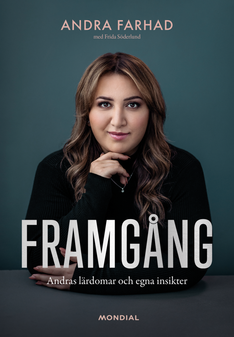 Framgång : andras lärdomar och egna insikter