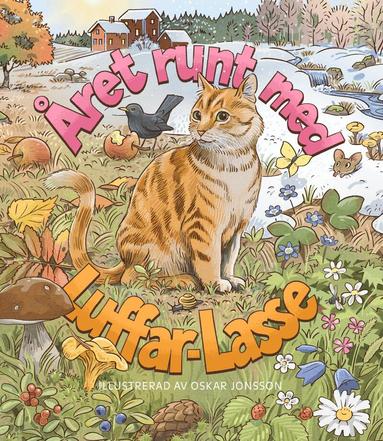 Luffar-Lasse - Året runt med Luffar-Lasse, Kartonnage