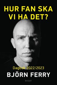 bokomslag Hur fan ska vi ha det? : Dagbok 2022/2023
