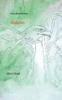 bokomslag Staketet: SilverCloud