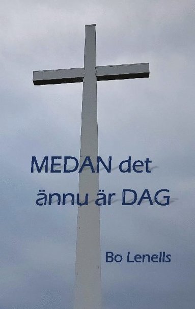 bokomslag Medan  det ännu är dag