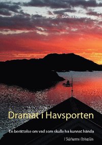 bokomslag Dramat i Havsporten : en fiktiv berättelse om vad som skulle ha kunnat hända