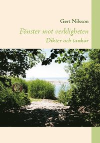 bokomslag Fönster mot verkligheten