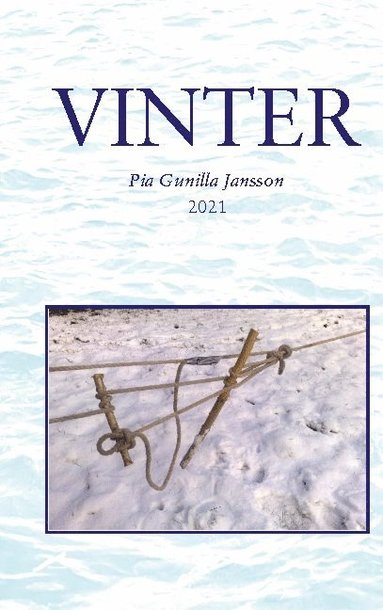 bokomslag Vinter: I mörker och kyla på de oändliga isvidderna