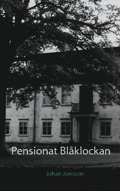 Johan Jonsson - Pensionat Blåklockan, Häftad