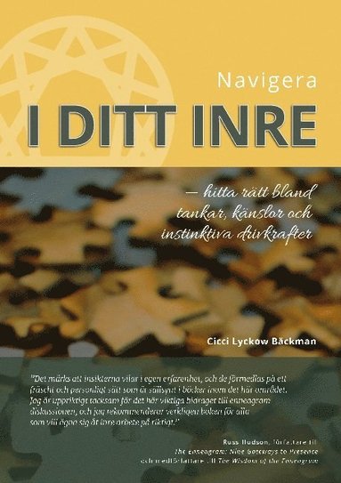 bokomslag Navigera i ditt inre: Hitta rätt bland tankar, känslor och instinktiva drivkrafter