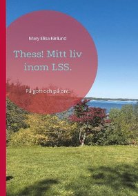 bokomslag Thess! Mitt liv inom LSS.: På gott och på ont.