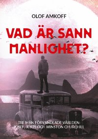 bokomslag Vad är sann manlighet?