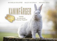 bokomslag Kaninfärger. Del 2, Färgkoder, korsningsscheman, fördjupning i färggenetik