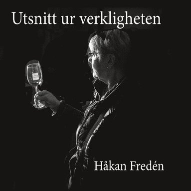 bokomslag Utsnitt ur verkligheten