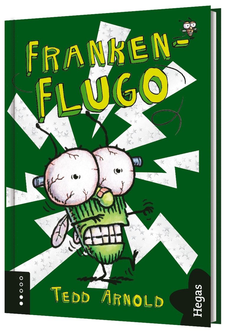 Franken-Flugo 1