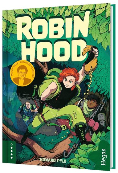 bokomslag Robin Hood