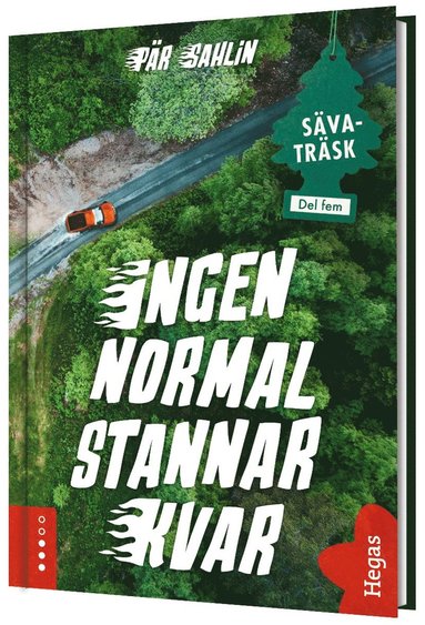 bokomslag Ingen normal stannar kvar