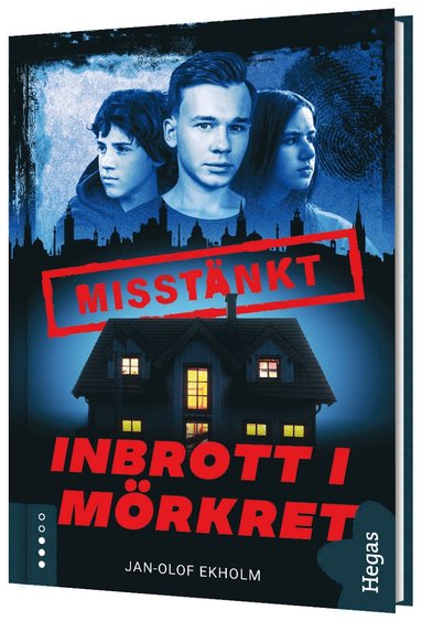 bokomslag Inbrott i mörkret