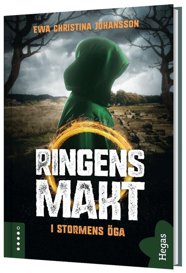 Ewa Christina Johansson - I stormens öga, Inbunden