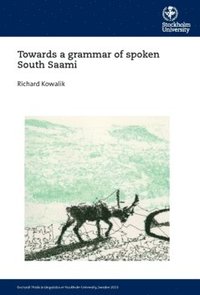 bokomslag Towards a grammar of spoken South Saami