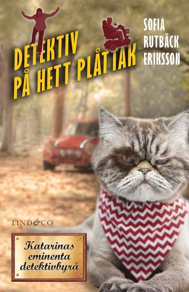 Sofia Rutbäck Eriksson - Detektiv på hett plåttak, Inbunden