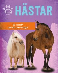 bokomslag Hästar : bli expert på ditt favoritdjur