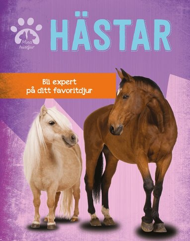 Gemma Barder - Hästar : bli expert på ditt favoritdjur, Inbunden