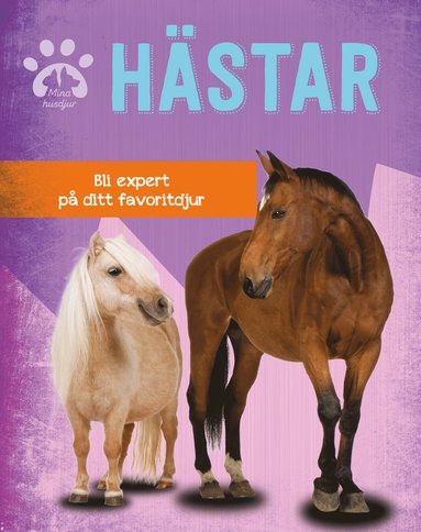 bokomslag Hästar : bli expert på ditt favoritdjur