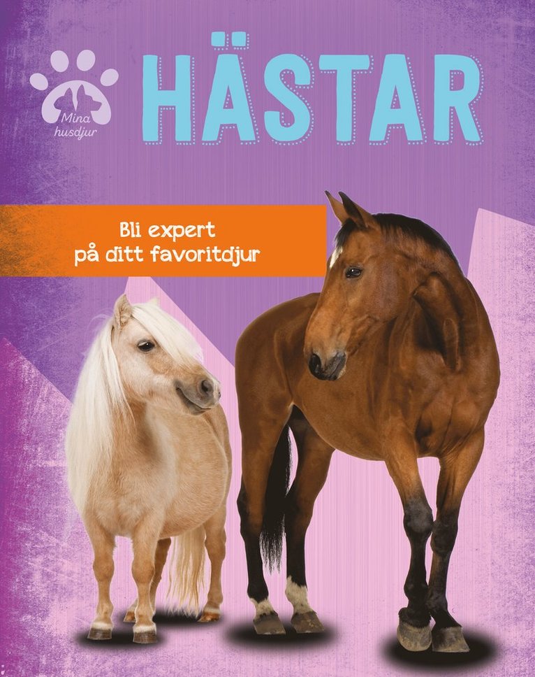 Hästar : bli expert på ditt favoritdjur 1