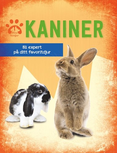 bokomslag Kaniner : bli expert på ditt favoritdjur