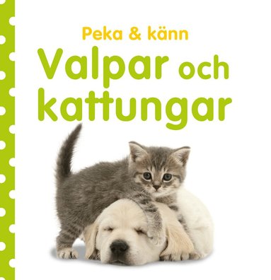 Dawn Sirett - Peka & känn. Valpar och kattungar, Kartonnage