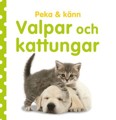 bokomslag Peka & känn. Valpar och kattungar