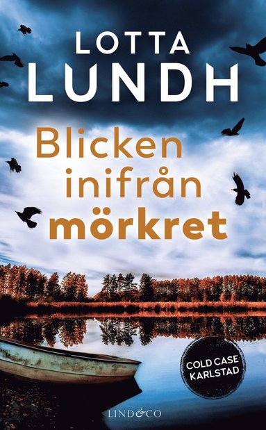 bokomslag Blicken inifrån mörkret