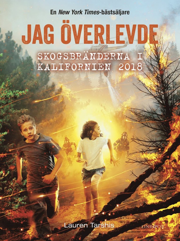 Jag överlevde skogsbränderna i Kalifornien 2018 1