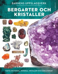 bokomslag Barnens uppslagsverk : bergarter och kristaller