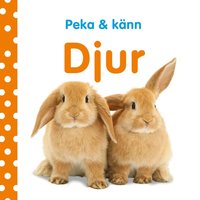 bokomslag Peka och känn : djur