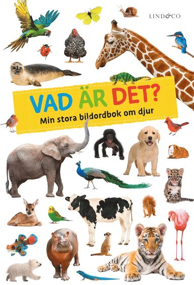 bokomslag Vad är det? : min stora bildordbok om djur