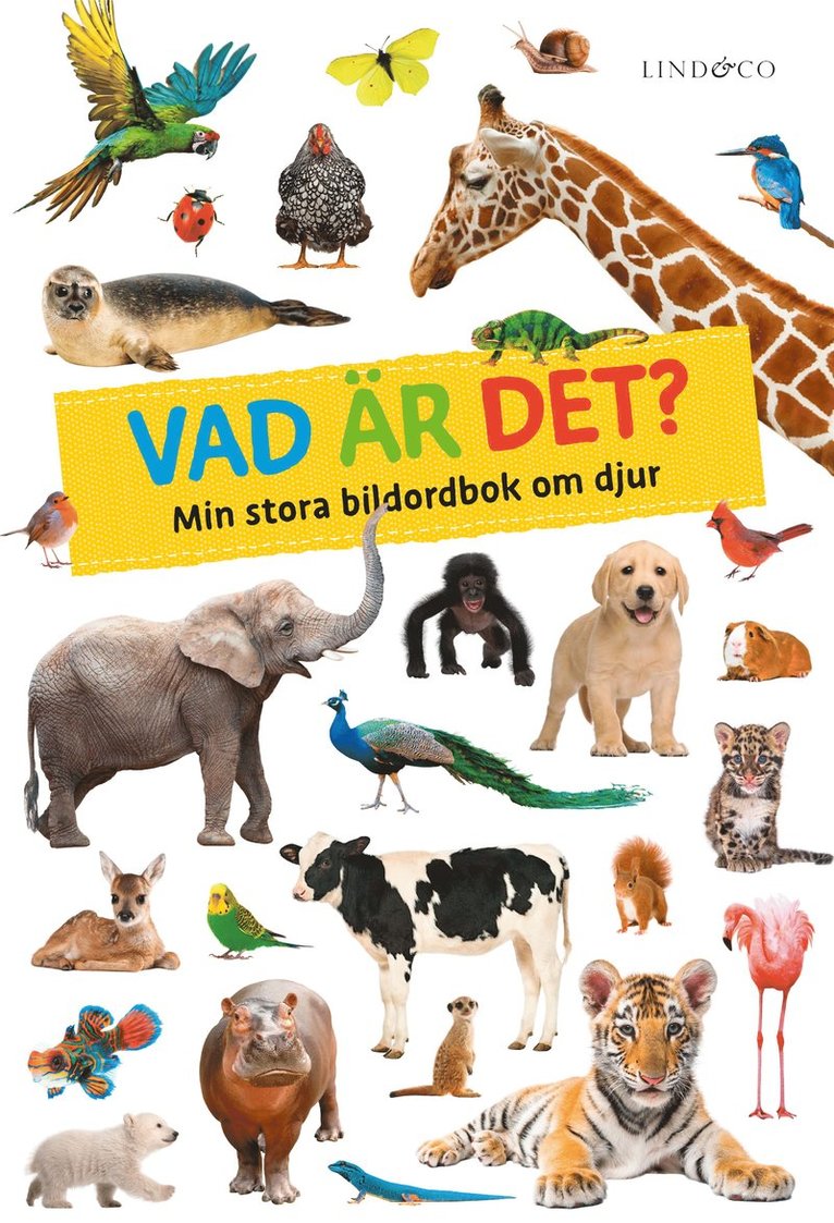 Vad är det? : min stora bildordbok om djur 1