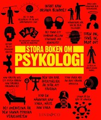 bokomslag Stora boken om psykologi