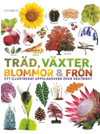 bokomslag Träd, växter, blommor och frön : ett illustrerat uppslagsverk över växtriket