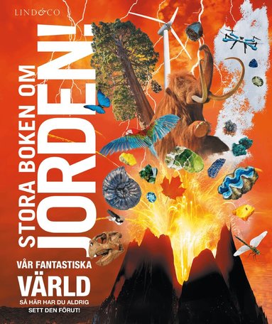 Dorling Kindersley - Stora boken om jorden, Inbunden