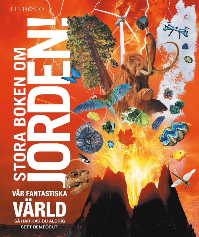 Dorling Kindersley - Stora boken om jorden, Inbunden