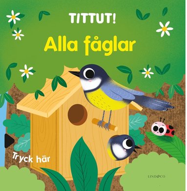 bokomslag Tittut! Alla fåglar