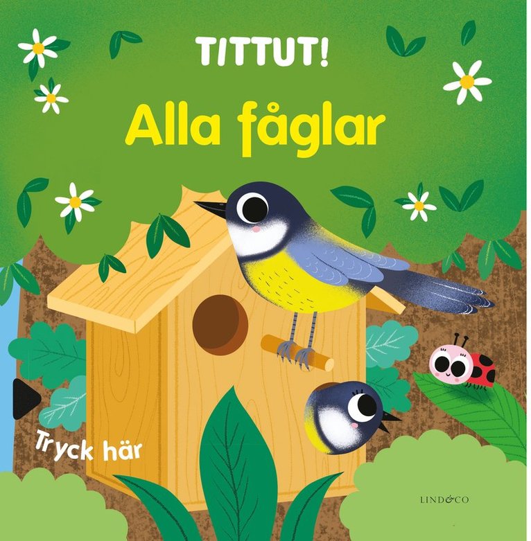 Tittut! Alla fåglar 1