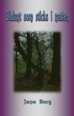 Jane Berg - Sådant som sticks i natten, Häftad