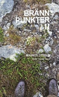 bokomslag Brännpunkter II : noveller