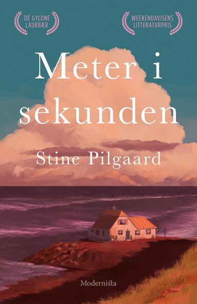 Stine Pilgaard - Meter i sekunden, Inbunden