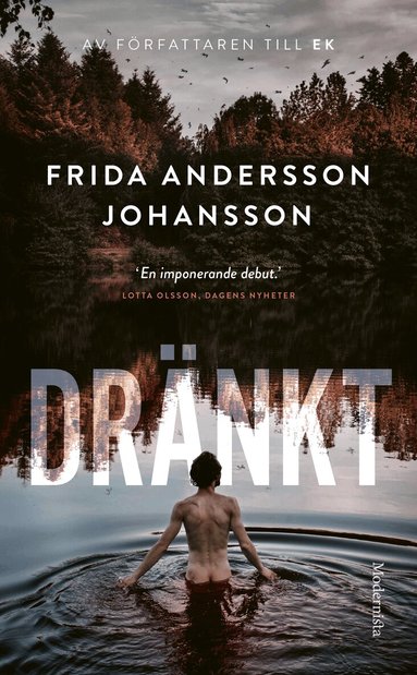 Frida Andersson Johansson - Dränkt, Pocket