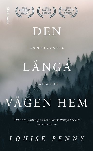 bokomslag Den långa vägen hem