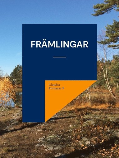 bokomslag Främlingar