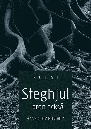 bokomslag Steghjul - Oron också