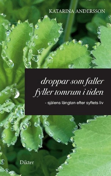 Katarina Andersson - Droppar som faller fyller tomrum i tiden : själens längtan efter syftets liv, Häftad
