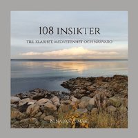 bokomslag 108 insikter : till klarhet, medvetenhet och närvaro