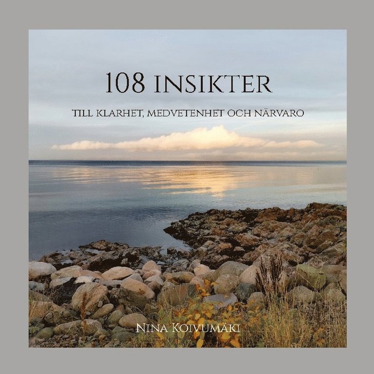 108 insikter : till klarhet, medvetenhet och närvaro 1